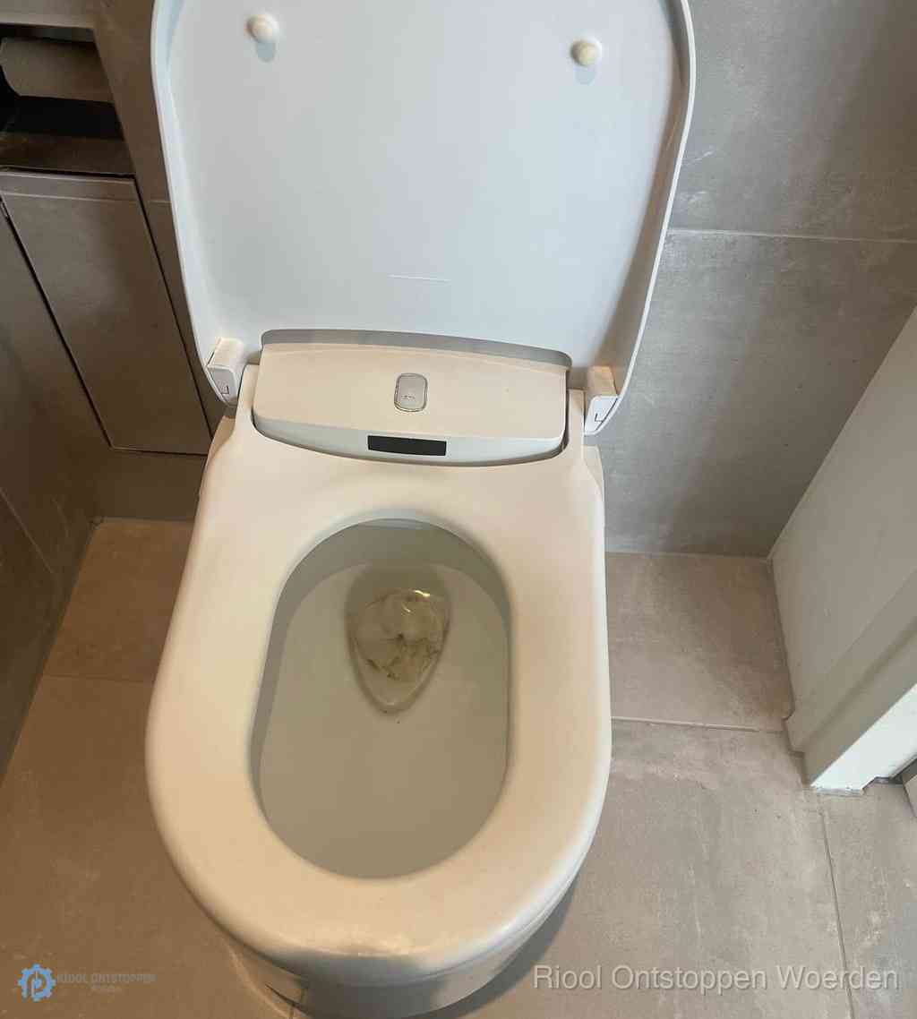 Toilet Ontstoppen Woerden